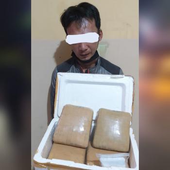 Bawa Ganja 4 Kg, Seorang Pria Dibekuk Ditresnarkoba Polda Lampung
